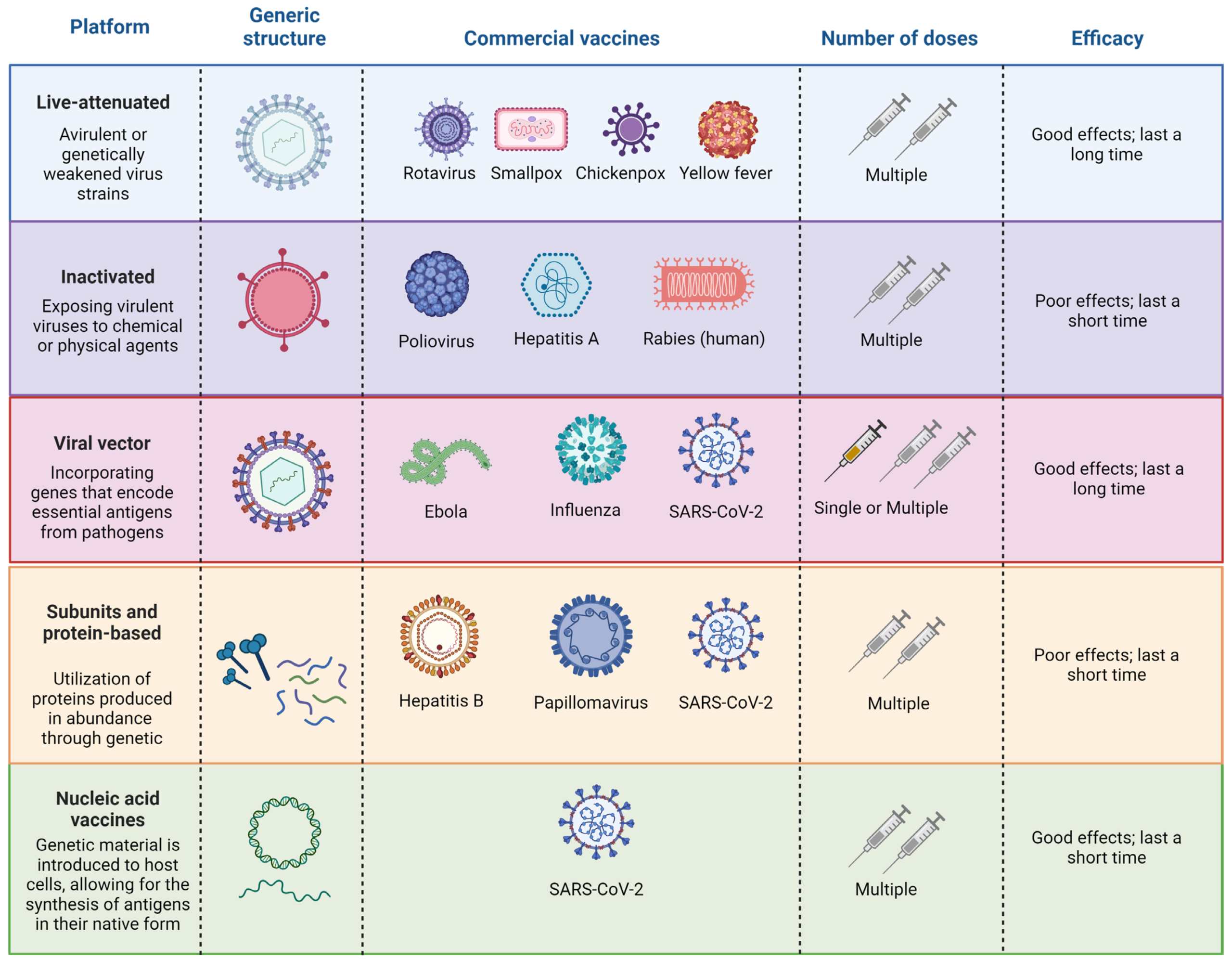 FDA Broadens Vaccine Safety Investigation Following Death Reports