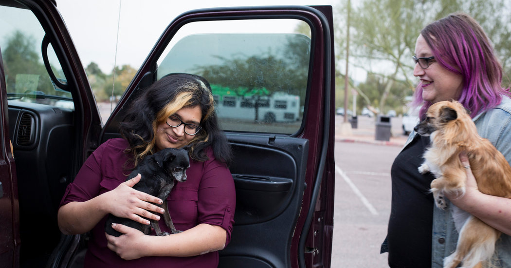 SIX-MONTH SENTENCE FOR TRANSGENDER MIGRANT WHO ASSAULTED 14-YEAR-OLD SPARKS OUTRAGE