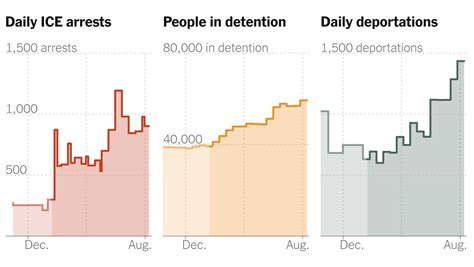 ICE Arrests Reach Record 49,571 in July Under Trump Administration